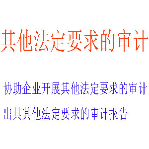 法定审计及英文报告服务 | 满足外商投资、跨境监管的双语审计专家