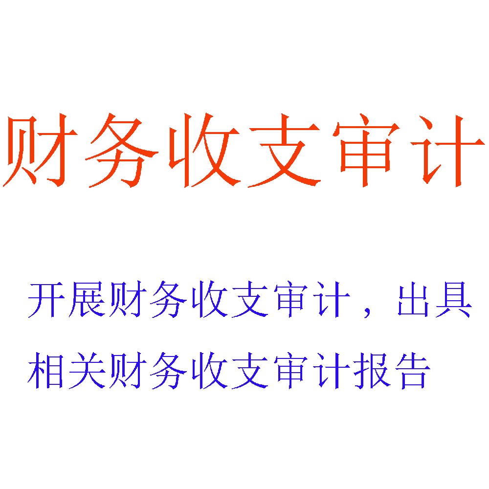财务收支审计服务 | 专项收支合规性核查与真实性鉴证