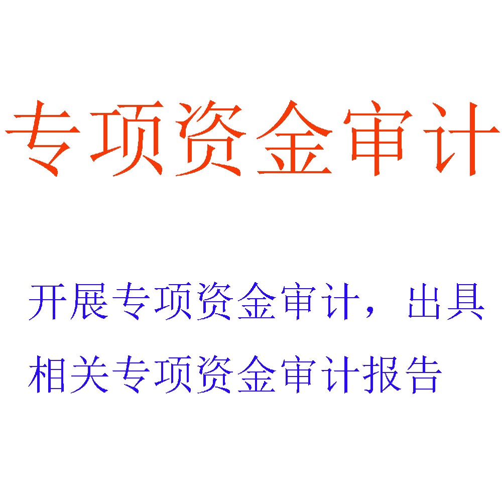专项资金审计服务 | 确保财政与专项资金的合规、安全与高效