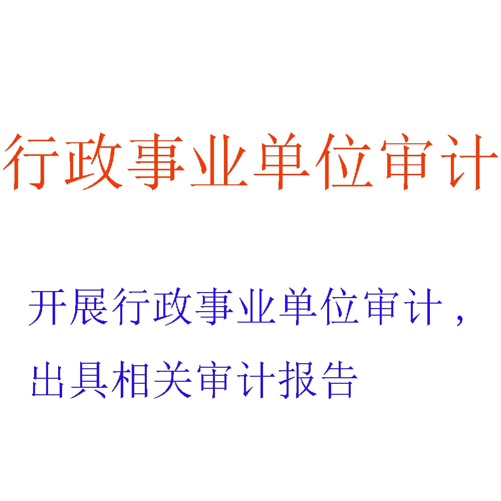 行政事业单位审计服务 | 公共资金与权力的专业监督者