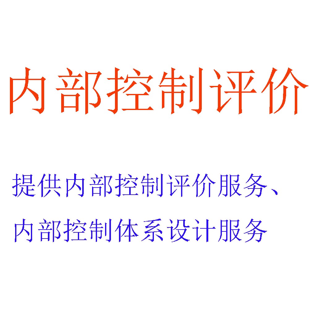 内部控制评价与咨询服务｜构建企业风险免疫系统的专业伙伴