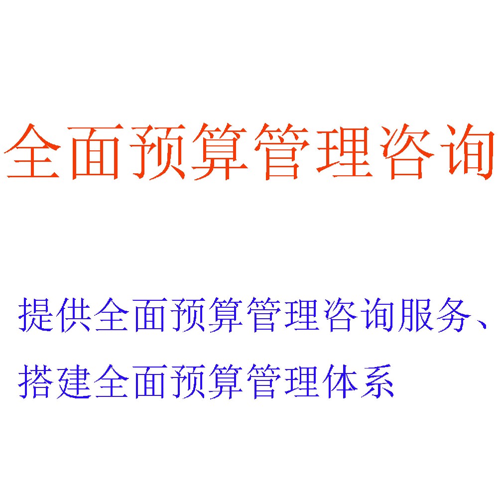 全面预算管理咨询 | 打造战略-预算-绩效一体化闭环 | 北京可信会计师事务所
