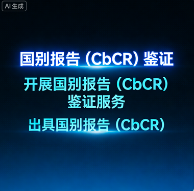 国别报告（CbCR）审核服务｜应对全球税务透明化的关键数据质量把关
