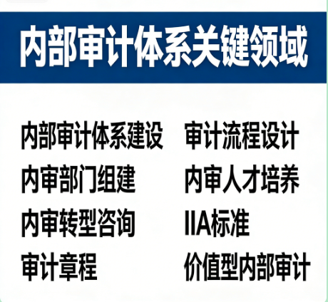 内部审计体系建设咨询服务｜为企业打造价值创造型内审部门的顶层设计师