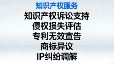 知识产权纠纷支持与诉讼辅助 | 您的专业“知识产权战略参谋”
