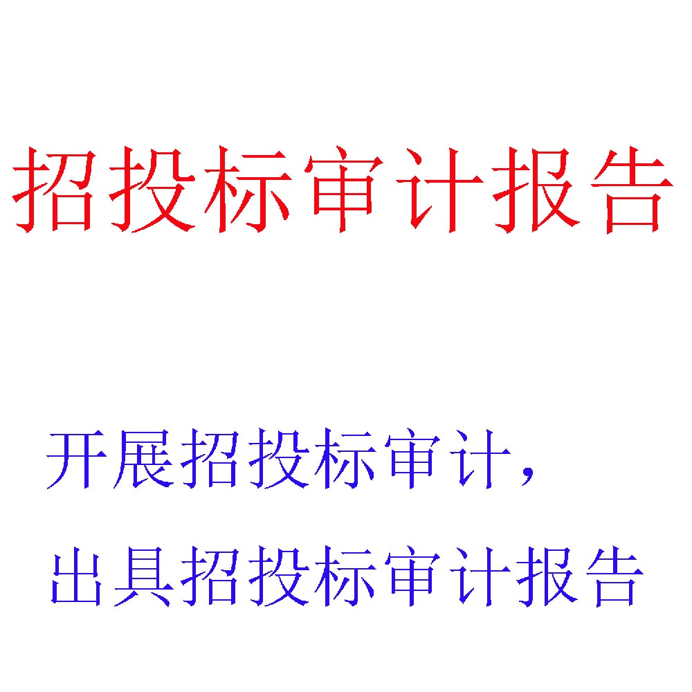招投标审计服务 | 专业、合规的招投标活动鉴证专家