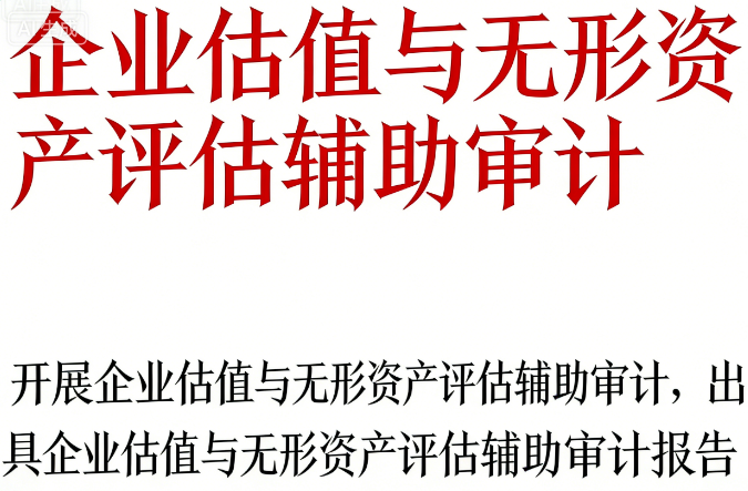企业估值与无形资产评估辅助审计 | 夯实估值数据基础，分离无形资产收益，解决价值争议