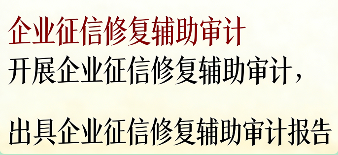 企业征信修复辅助审计 | 化解历史不良记录，重塑金融信用，畅通融资渠道