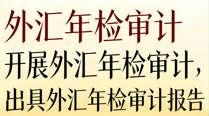 外汇年检审计服务 | 外商投资企业外汇合规与存量权益登记审计专家